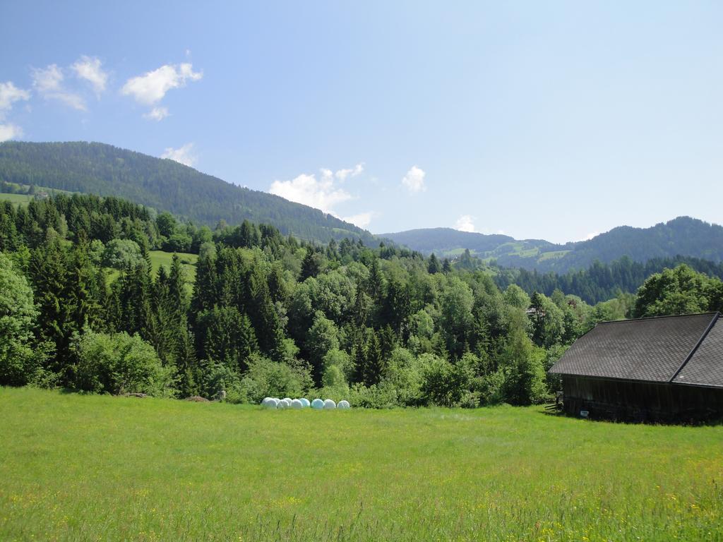Naturoase Appartements Mirnock Afritz Luaran gambar